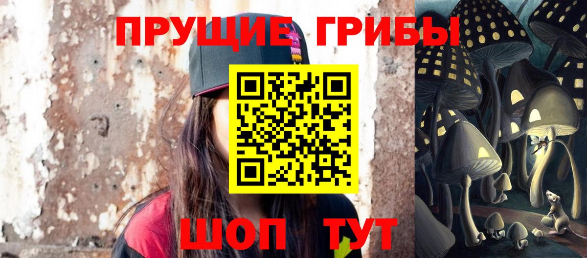 Галлюциногенные грибы Psilocybe Уварово